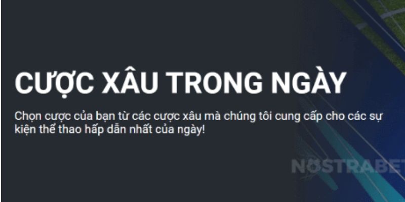 1XBET - Đăng ký thể thao nhận ngay tiền thưởng 3.250.000 VNĐ