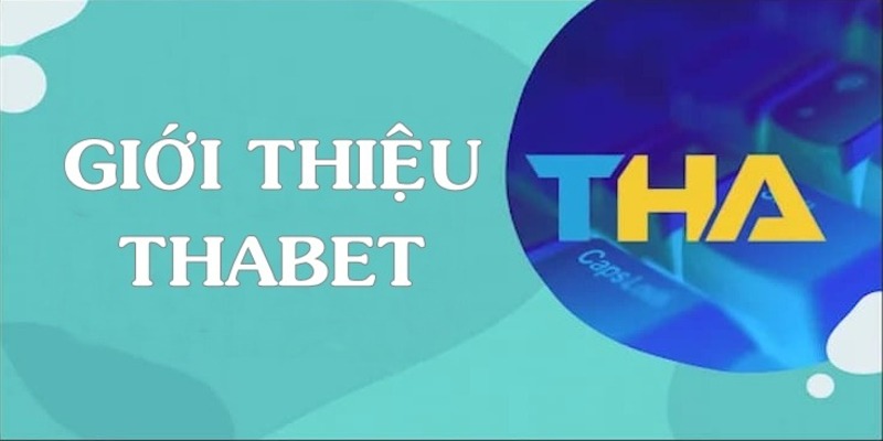 Thabet - Địa điểm bảo mật và uy tín trong cá cược trực tuyến